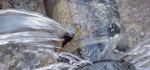 Un'immagine generica segnaposto con angoli arrotondati in una figura.